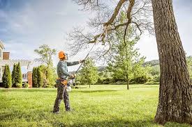 Best Aeration Services  in New Egypt, NJ