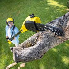 Best Lot and Land Clearing  in New Egypt, NJ